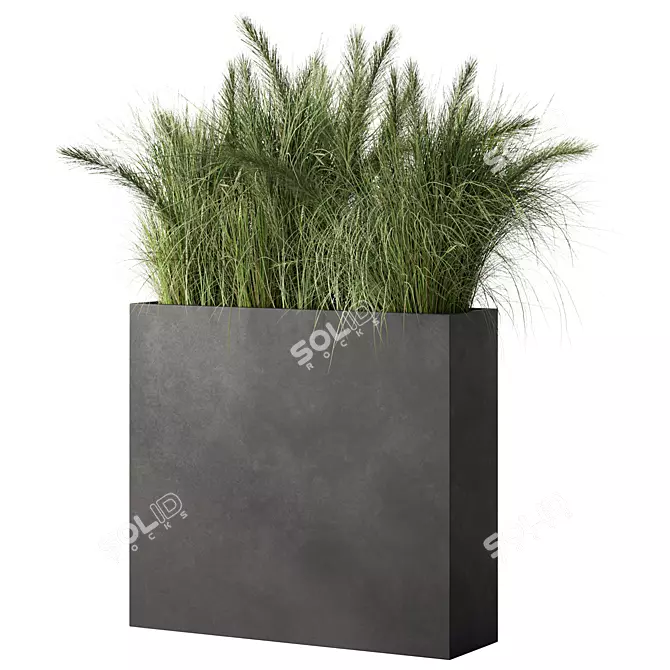 Premium Green Grass Plant Set 3D model image 1
