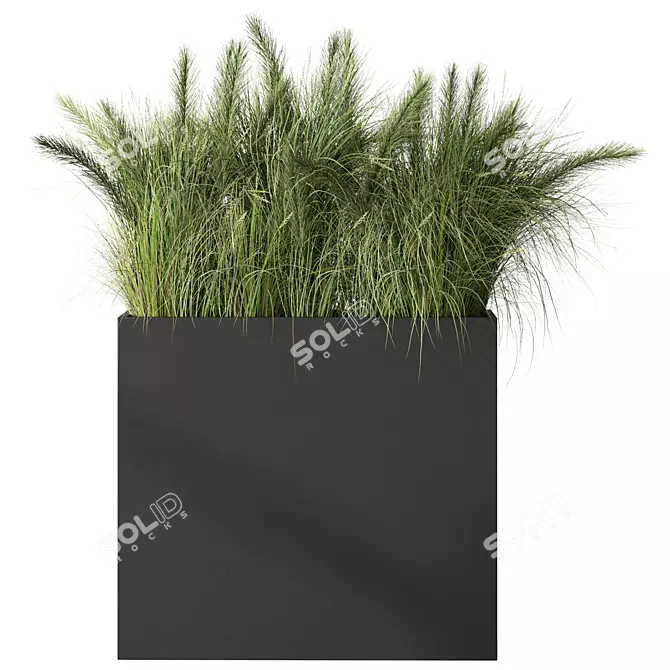 Premium Green Grass Plant Set 3D model image 3