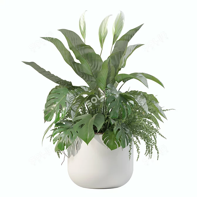 Monstera Fern Peace Lily Bundle 3D model image 1