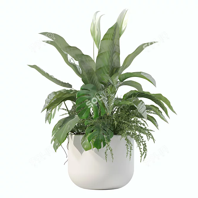 Monstera Fern Peace Lily Bundle 3D model image 2