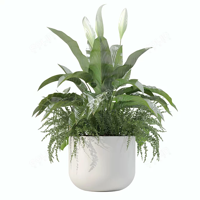 Monstera Fern Peace Lily Bundle 3D model image 3