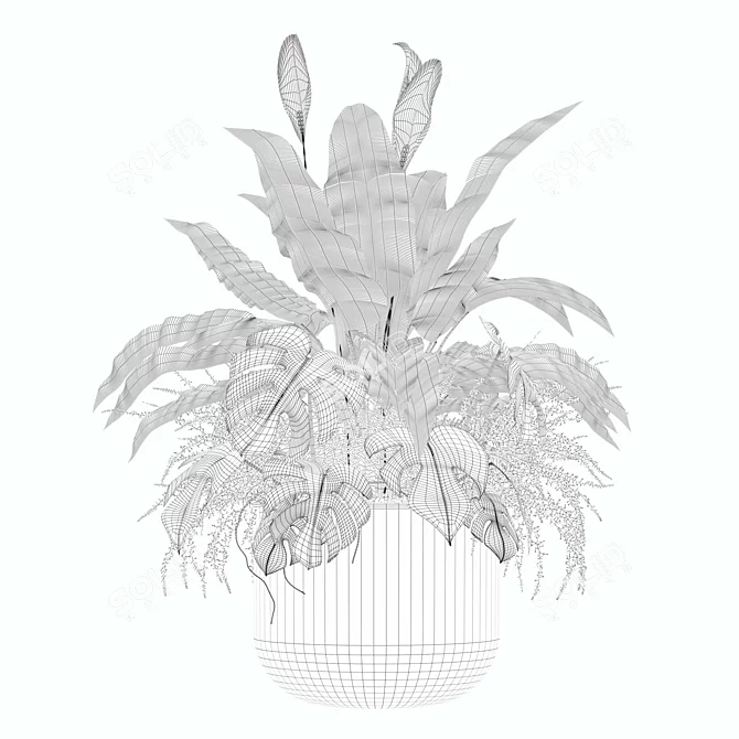 Monstera Fern Peace Lily Bundle 3D model image 5