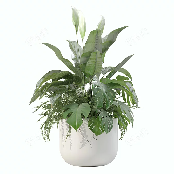 Monstera Fern Peace Lily Bundle 3D model image 6