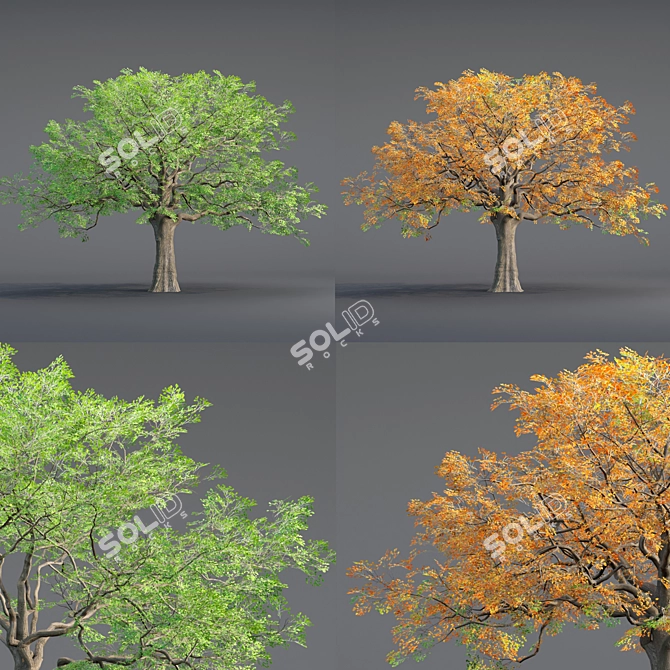  Low Poly Oak Tree Collection 3D model image 3