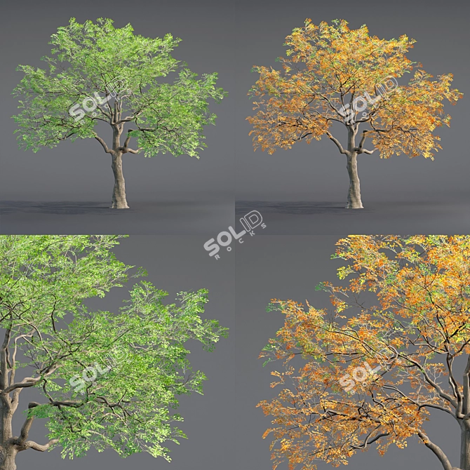  Low Poly Oak Tree Collection 3D model image 4