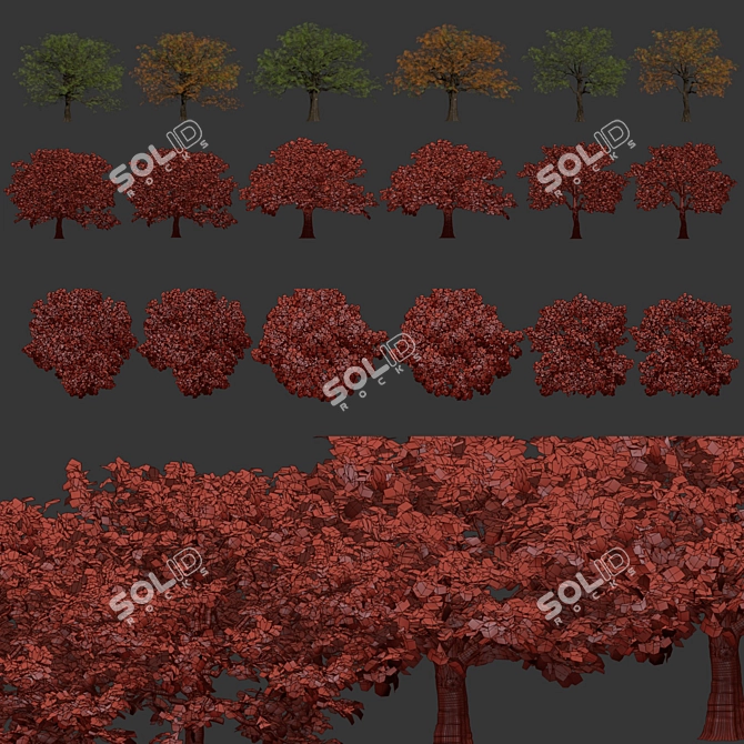  Low Poly Oak Tree Collection 3D model image 7