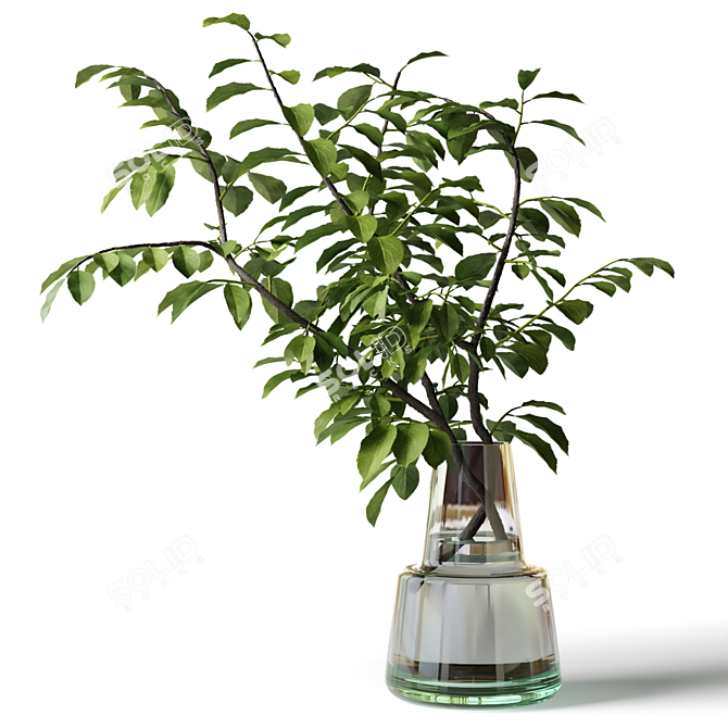 Glass Vase Leafy Branch Bouquet 3D model image 1