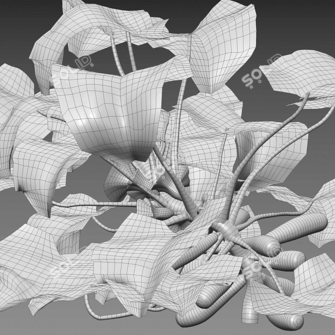 Varied 3D Plant Model Collection 3D model image 5