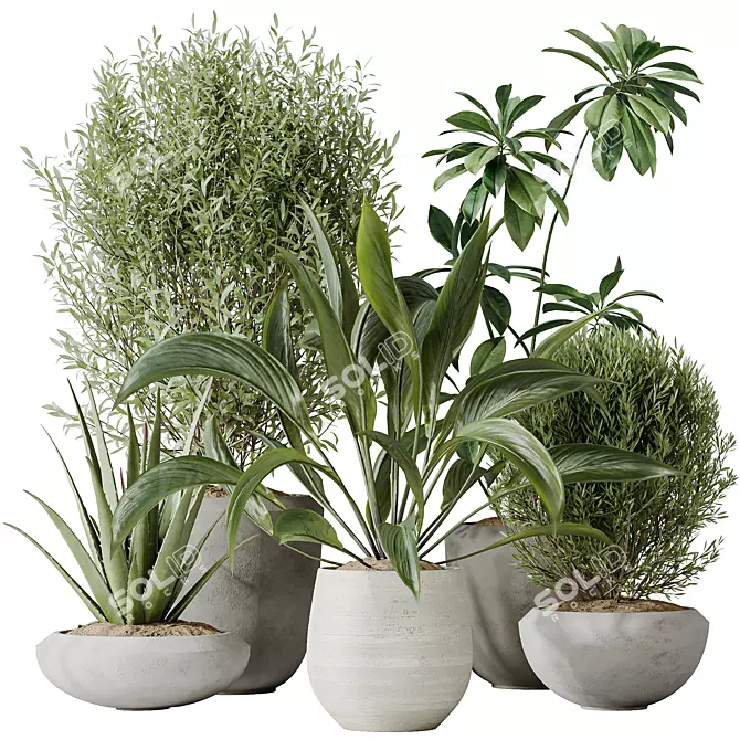 Indoor Plants Set 3D Models 3D model image 1