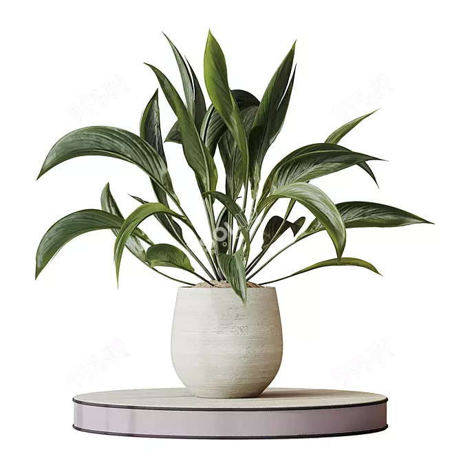Indoor Plants Set 3D Models 3D model image 3