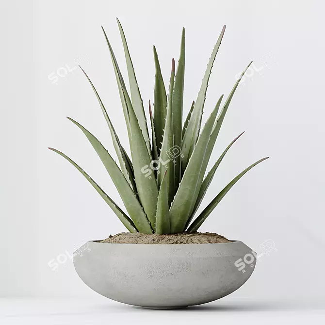 Indoor Plants Set 3D Models 3D model image 4