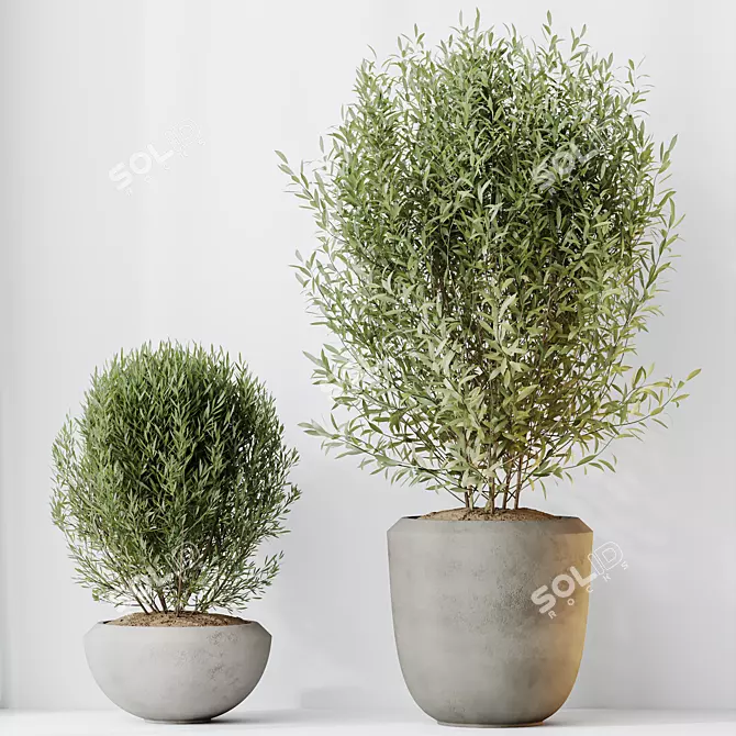Indoor Plants Set 3D Models 3D model image 5