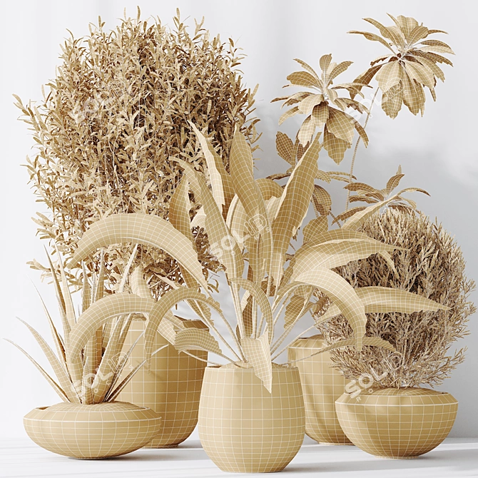 Indoor Plants Set 3D Models 3D model image 7