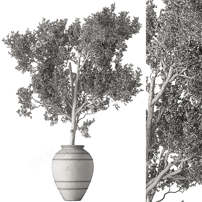 Outdoor Tree in Pot 634 3D model image 5