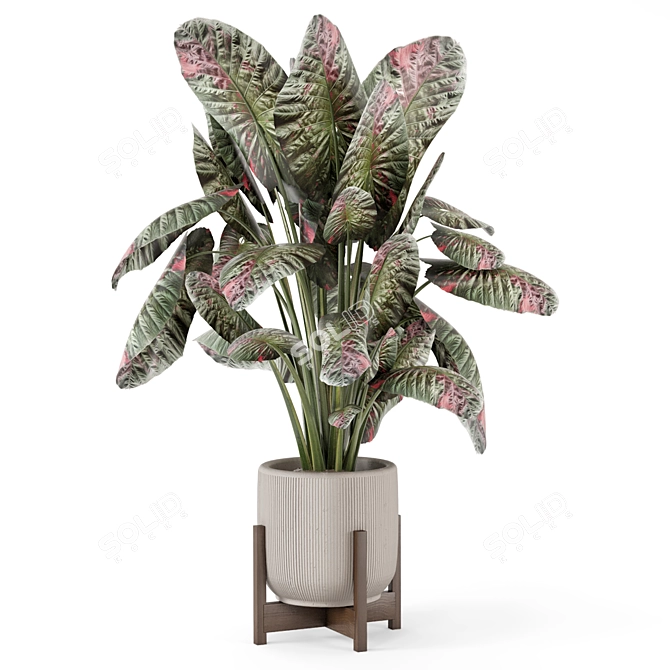 Handmade Stone Pot Indoor Plants 3D model image 2