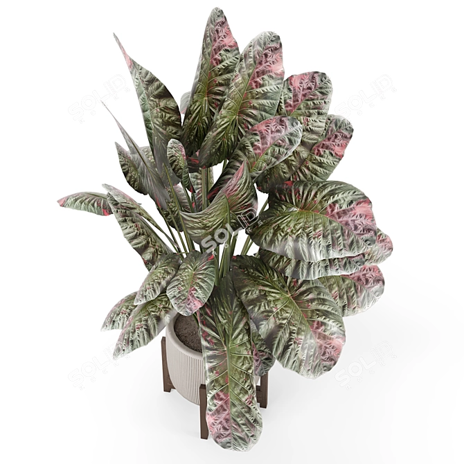 Handmade Stone Pot Indoor Plants 3D model image 3