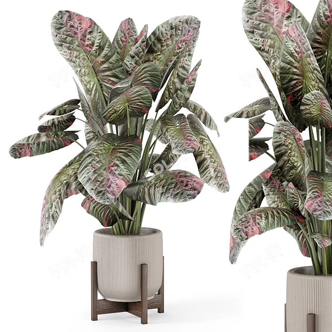Handmade Stone Pot Indoor Plants 3D model image 4