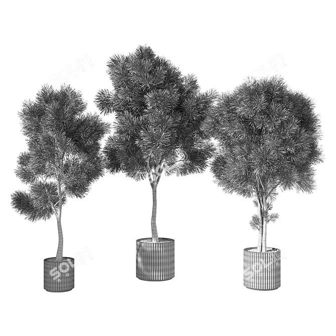 Rustic Pine Tree Set for Outdoors 3D model image 4