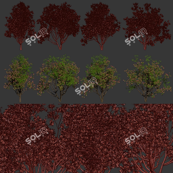 Premium Bottlebrush Bush Collection Vol.48 3D model image 7