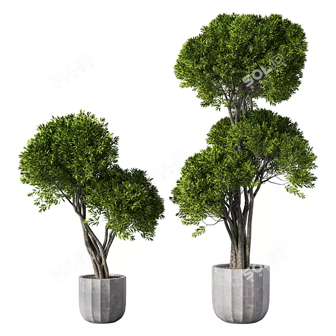 Modern Indoor Plant Set Ensemble 3D model image 1