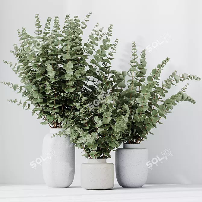 Eucalyptus Foliage Decor Set 3D model image 5