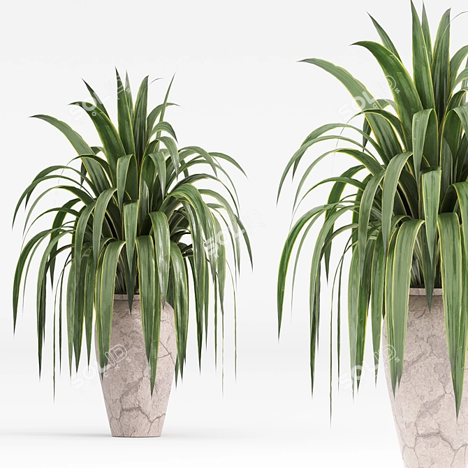  Modern Indoor Plant Set 3D model image 5