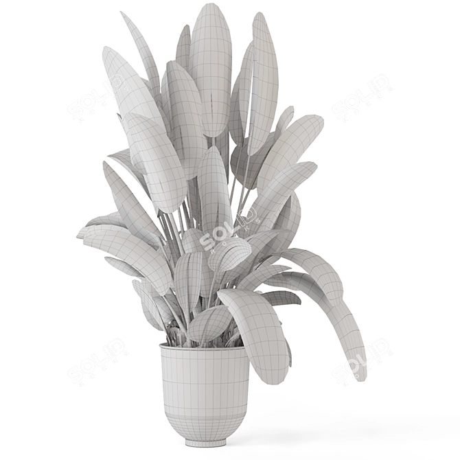 Rustic Indoor Plants Set 2343 3D model image 5