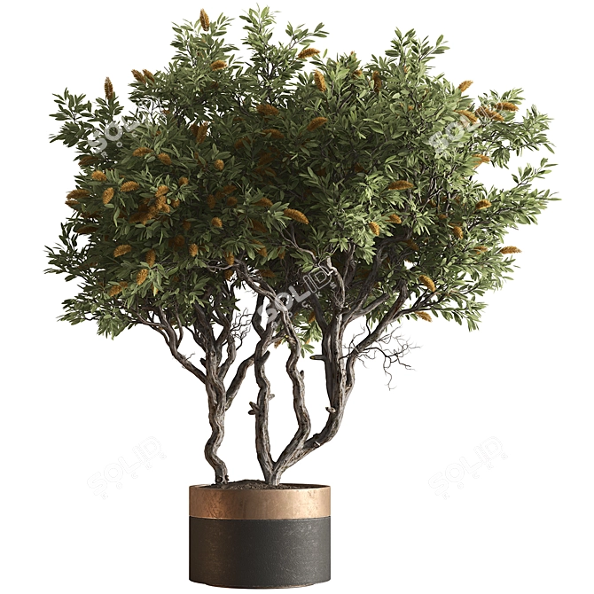 Leafy Green Potted Tree 768 3D model image 1