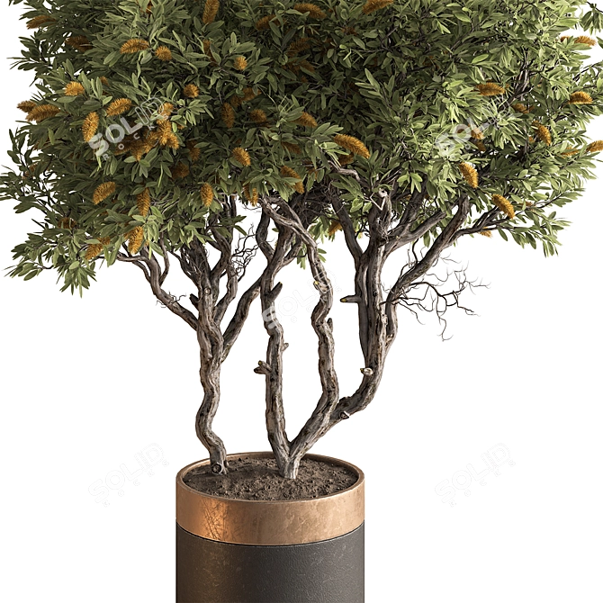 Leafy Green Potted Tree 768 3D model image 2