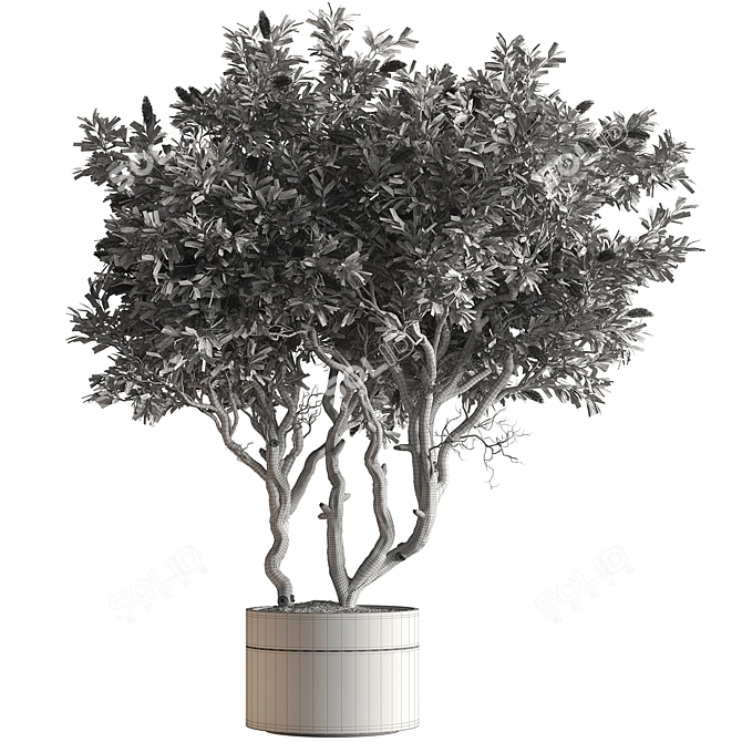 Leafy Green Potted Tree 768 3D model image 4