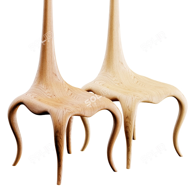 Title: Elegant Agrippa Lady Chair 3D model image 3