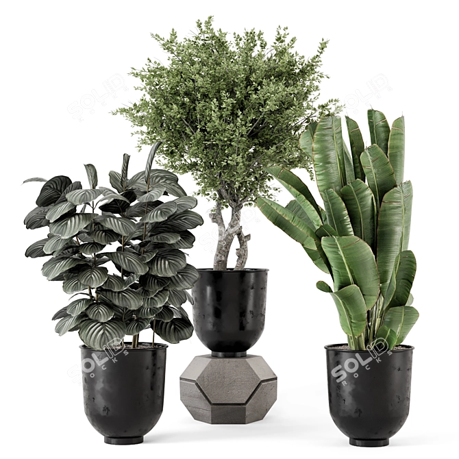 Artisanal Metal Pot Indoor Plants 3D model image 1