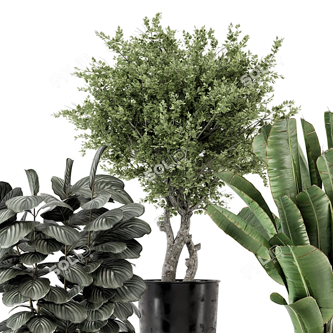 Artisanal Metal Pot Indoor Plants 3D model image 2