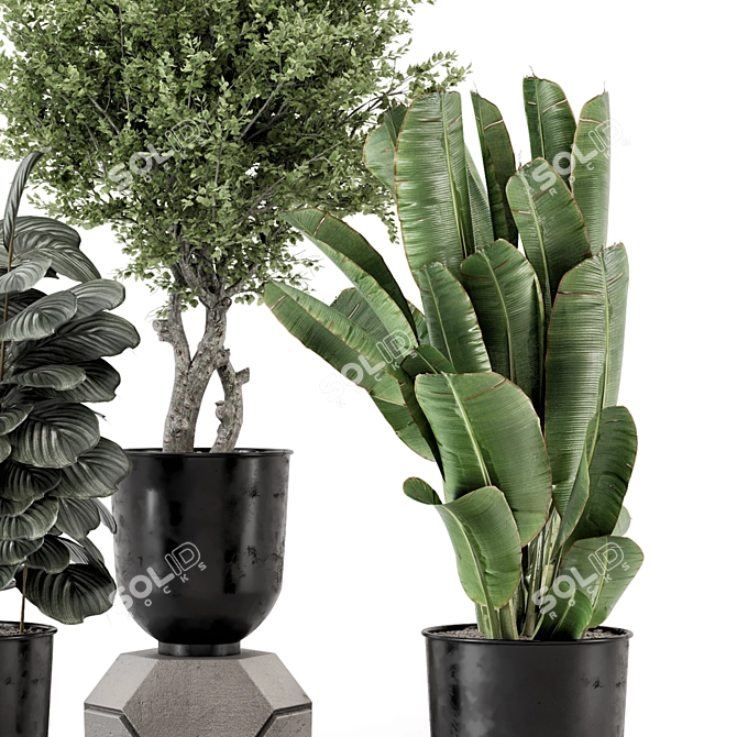 Artisanal Metal Pot Indoor Plants 3D model image 3