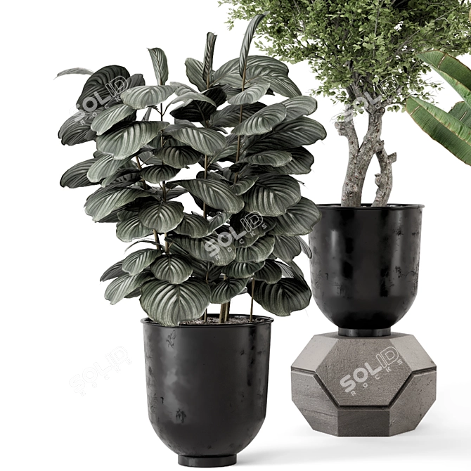 Artisanal Metal Pot Indoor Plants 3D model image 4