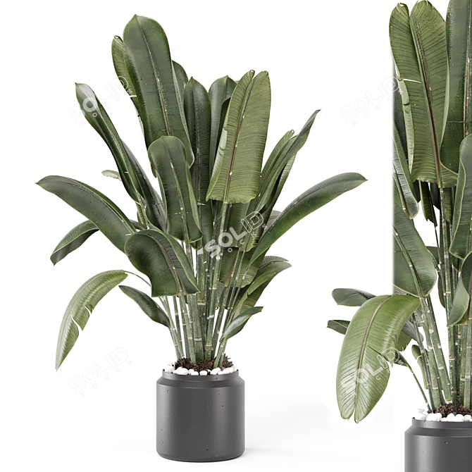 Ferm Living Indoor Plant Set 3D model image 1