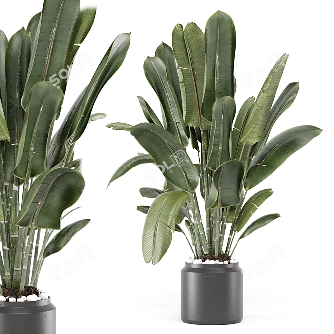 Ferm Living Indoor Plant Set 3D model image 2