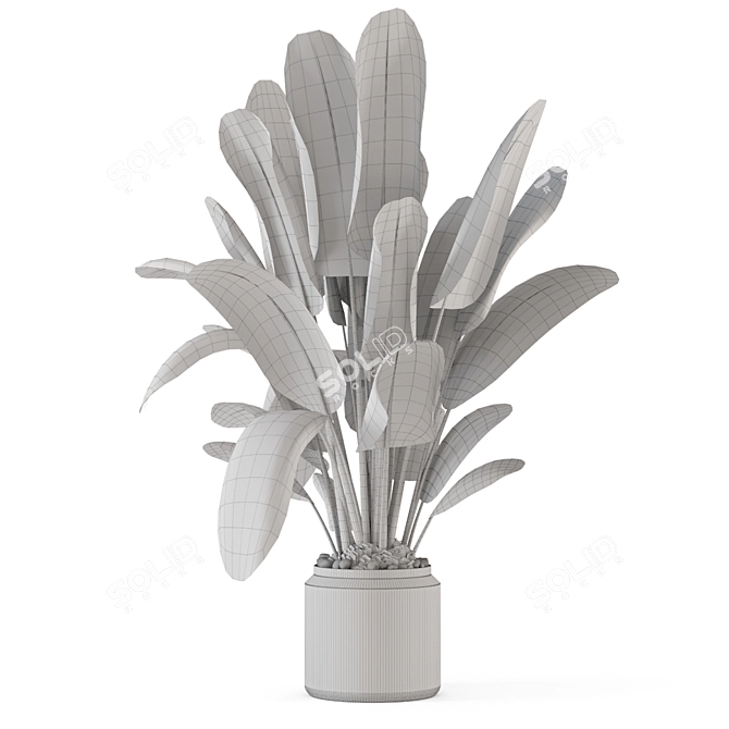 Ferm Living Indoor Plant Set 3D model image 5