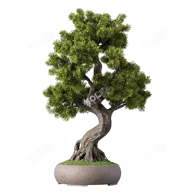 Bonsai Tree Set, 162 Miniatures 3D model image 2