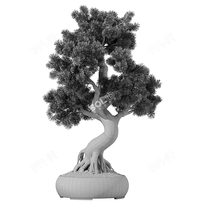 Bonsai Tree Set, 162 Miniatures 3D model image 5