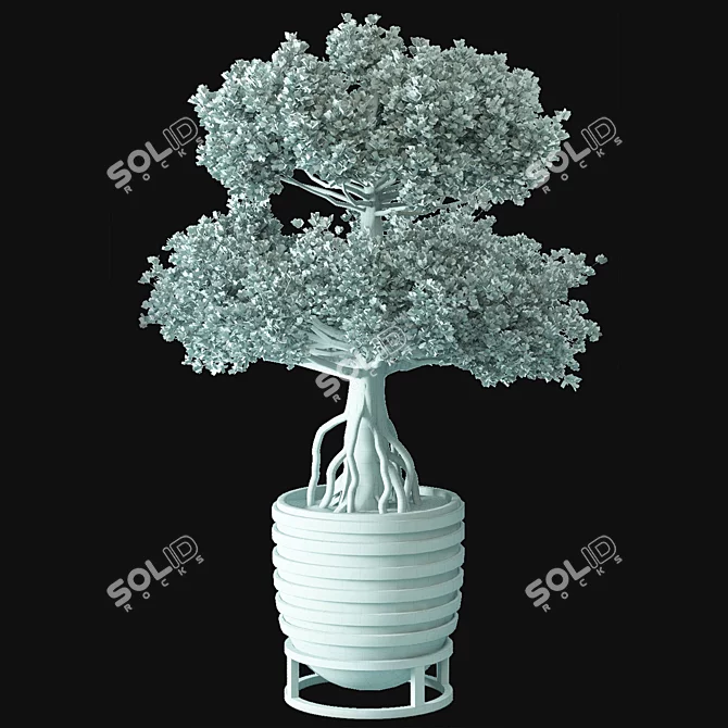 Chinese Tree 01 Outdoor Plant 3D model image 3