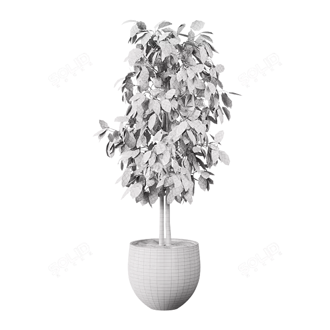 Potted Indoor Plant 3D Model 3D model image 3