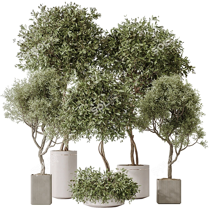 Elegant Artificial Olive Tree Set 3D model image 1