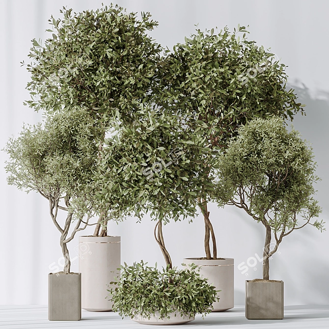 Elegant Artificial Olive Tree Set 3D model image 2