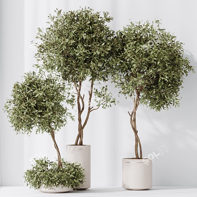 Elegant Artificial Olive Tree Set 3D model image 3