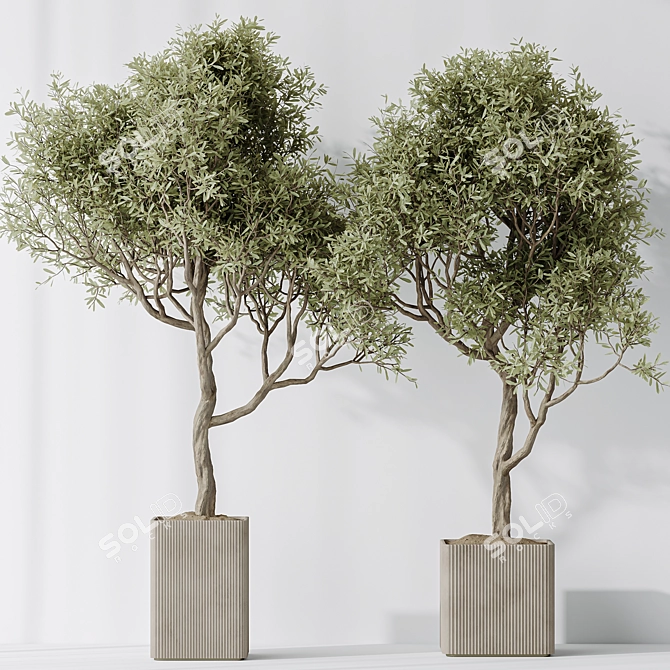 Elegant Artificial Olive Tree Set 3D model image 4