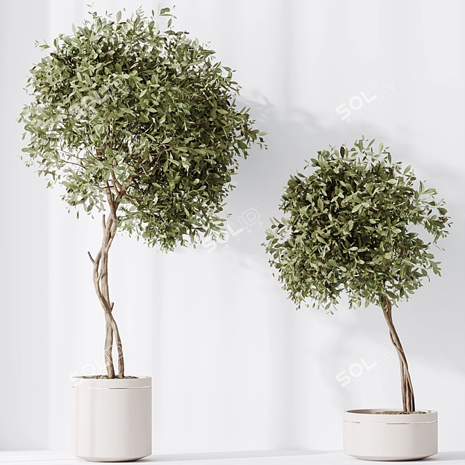 Elegant Artificial Olive Tree Set 3D model image 6