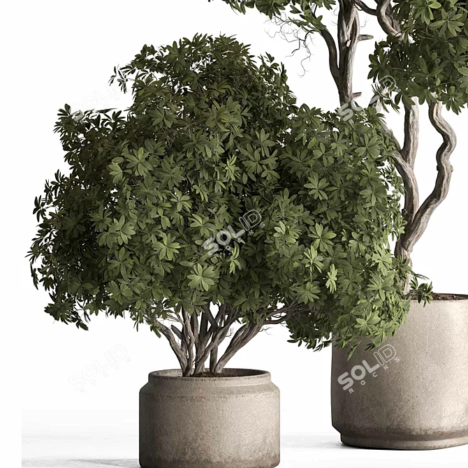 Botanical Bliss Tree in Pot 3D model image 3