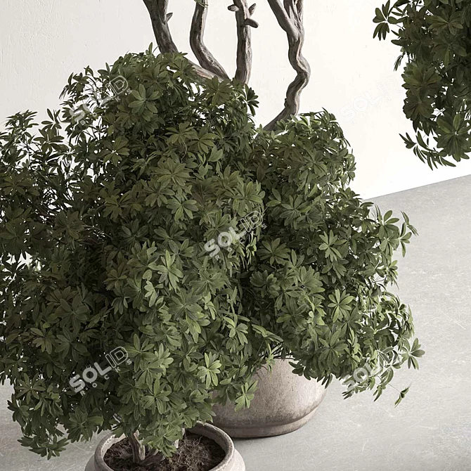 Botanical Bliss Tree in Pot 3D model image 4