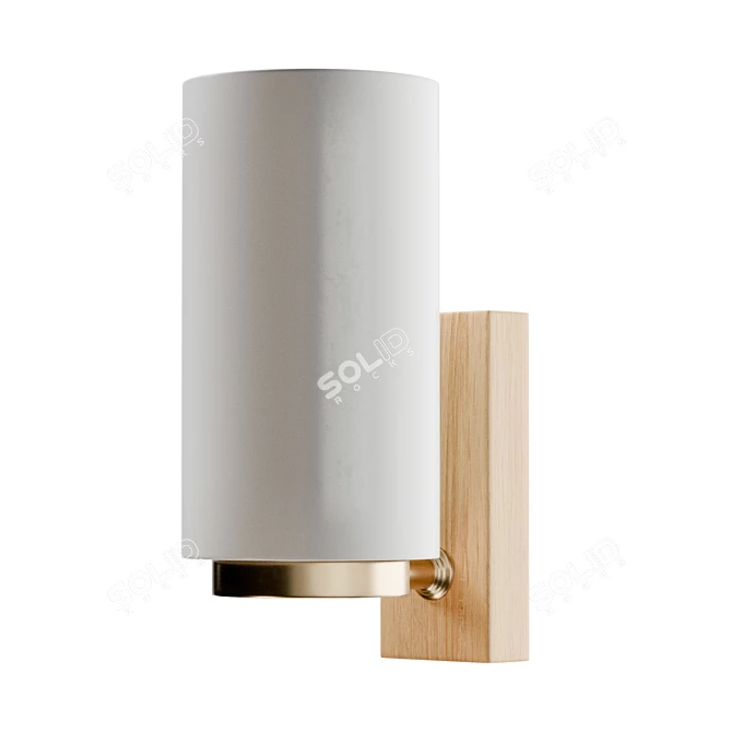 Modern Swedish Designer Wall Sconces 3D model image 1